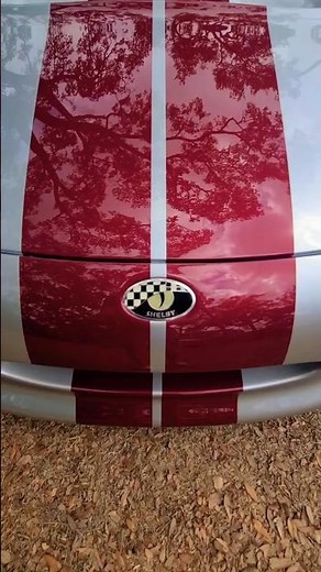 1999 Shelby Series 1 Silver Only 249 Made Walkaround Innisbrook Resort Car Show #shelby #series1