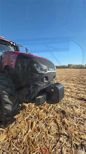 High Speed Disk | CaseIH Magnum 380CVT Tractor & CaseIH Speedtiller 475 | Mulching Corn Residue