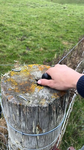 How to Properly Cut Fence Posts to Prevent Rot | Farming Tips