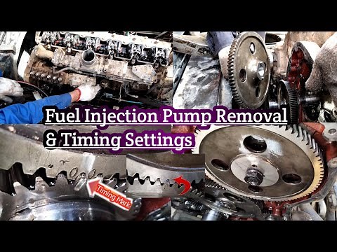 Fuel Injection Pump Removal And Engine Timing Settings 💯! Diesel Engine 6 Cylinder WD615.46