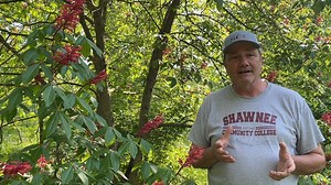It's always fun to get out and explore the region. That's exactly what Biology Instructor Tony Gerard has been doing. Please take a look at what he discovered in this episode of Science in Seconds. It's a red buckeye tree. Learn more about it! We hope you're having a great weekend! #scienceinseconds #chooseSCC shawneecc.edu | Shawnee Community College