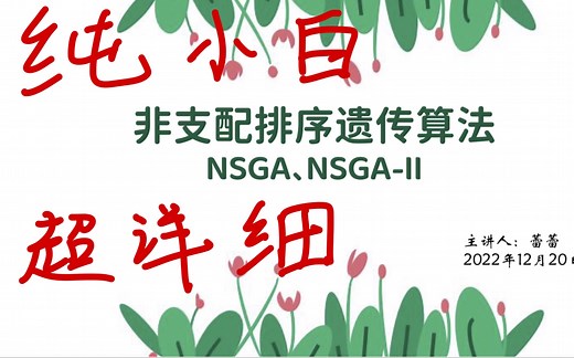 纯小白超详细的非支配排序遗传算法原理讲解