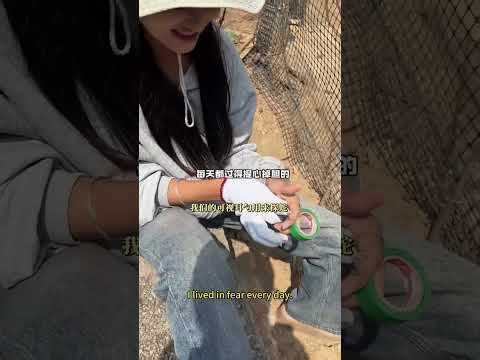 貓爬架還是自己動手做的香！