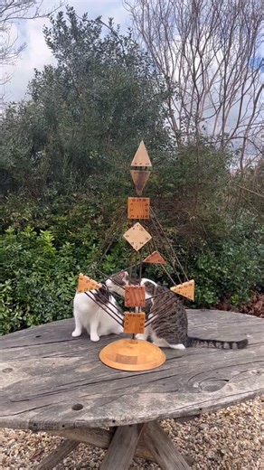 I’m in the mood for Human Design. Discover our workshops in March and April 2026. All the details : https://www.lesfousduvillage.com/agenda Thanks to the reel’s extras : Nina Rosas, Martin Grassinger , Nisarg B. Nikiel, Human Design Teacher, Reflector, @RichardBeaumont, Nadège Turgné Elsa Helleu and all the participants of the workshops #humandesign #rauruhu #livingyourhumandesign | Les Fous du Village