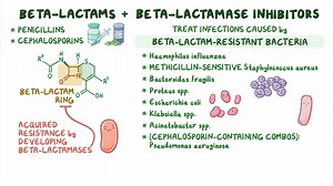 Video: Antibiotics - Beta lactam and beta lactamase inhibitor combinations: Nursing pharmacology - Video Explanation! | Osmosis | Osmosis
