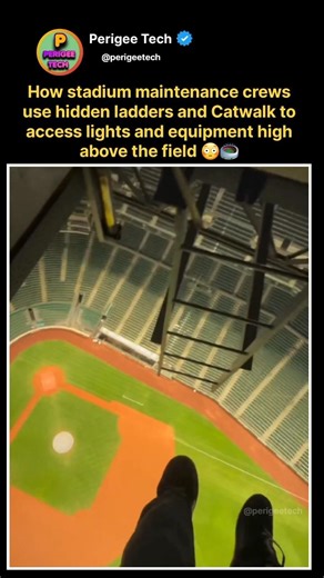This Ladder Hangs Above a Stadium 😳🏟️ #shorts #engineering #stadium #construction #infrastructure
