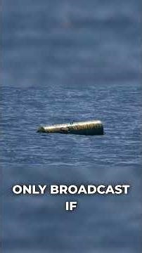 The Fishing Industry You Never See