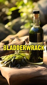 569 reactions · 47 shares | Ready to Discover the Secret Health...