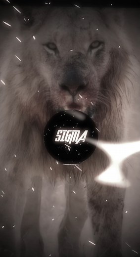 SIGMA 1% (@sigma.1629) adlı kullanıcının original sound - SIGMA 1% ile oluşturduğu videoları