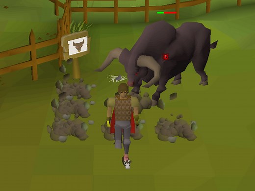 Brutus/Strategies - OSRS Wiki