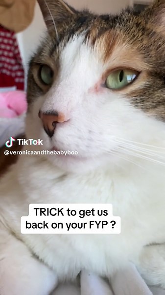 Worth a shot at least, right?