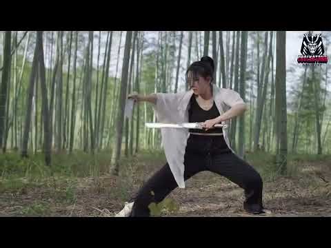 🗡️ Dual Swords Chinese Martial Arts Showcase | The Perfect Blend of Power and Grace #sword