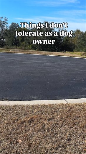 We’re not the same if 👇 ♦️You’re an owner who cannot read dog body language ♦️You’re an owner who enables and excuses bad behavior, instead of advocating for your dog ♦️You’re an owner who cannot read stress signals ♦️You’re an owner who lets an untrained dog off a leash Oh you thought I’d have beef with a dog? No. Dogs need firm, fair owners who do the research and work to understand their dog. #dogsofinstagram #dogtraining #dogbehavior #petowner | Arlo the Poodle