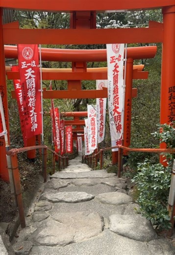 Dazaifu Tenmangu Spring 2025 #Fukuoka2025 #DazaifuTenmangu #Sakura2025 #SpringJapan2025