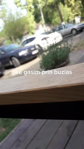 Videoclipuri postate de dani toma (@danitoma0) cu BUSTER - $atori Zoom