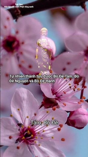Dedicated Practice of Buddha-Name Recitation Naturally Leads to Bodhi Attainment