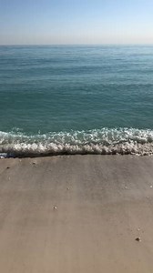 🌴 Experience the ultimate Panama City Beach vibe at Beachside Resort! 🌊✨ Discover a coastal paradise where relaxation meets adventure. Unwind on pristine beaches, soak up the sun, and indulge in delicious coastal cuisine. 🍹🍴🌅 Whether you're a local or visiting, Beachside Resort is your go-to destination for an unforgettable beach getaway. https://bit.ly/2VQBhmL 😎🏖️ #PanamaCityBeachVibes #CoastalEscape #BeachsideResort #SunSandSea #BeachGetaway #FunintheSun | Beachside Resort Panama City B