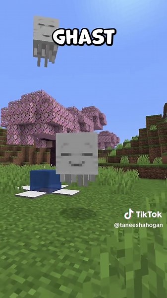 How to get the Happy Ghast in the NEW Chase the Skies Update! 💙 #minecraft #paidpartnership #chasetheskies #minecraftupdate #minecrafttutorial #minecrafthowto