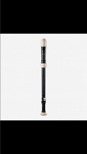 SMARTWOODI Recorder Set RS-605B Highlights