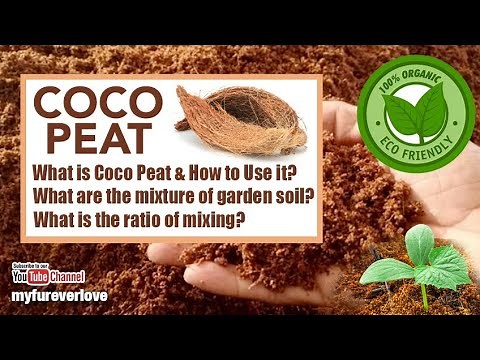 How to Use Coco Peat? How to Mix Coco Peat with Garden Soil? What is the Ratio in Mixing with Soil?