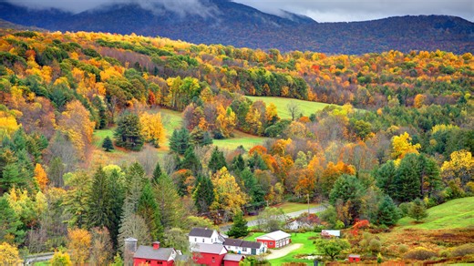 Looking forward to the changing leaves? Here’s what to expect for fall foliage in MA