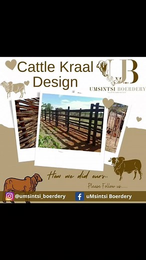 Cattle Kraal Designs for South African Farmers
