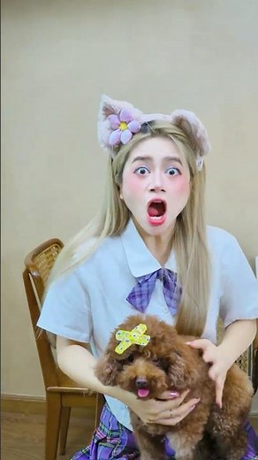 Even as a Poodle… He Couldn’t Win 💀🐩 #lilymeow #lilymiumiu #couplegoals #schoolcrush #schooldrama