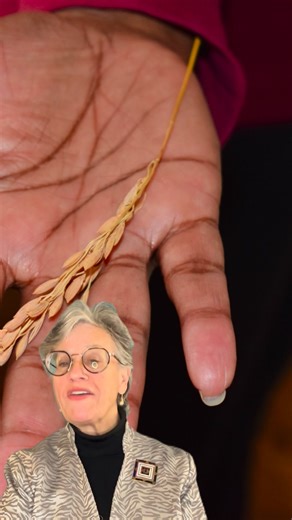 Learn more about our early agricultural history with Historian Lee Brockington. | Georgetown County, S.C.