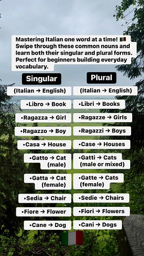 Mastering Italian one word at a time! 🇮🇹Swipe through these common nouns and learn both their singular and plural forms. Perfect for beginners building everyday vocabulary. 💬✨#LearnItalian #ItalianVocabulary #SingularAndPlural #ItalianWords #LanguageLearning #ItalianGrammar #ParliItaliano #ItalianForBeginners #StudyItalian #DailyItalian | Piccolo Maestro