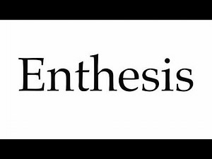 How to Pronounce Enthesis
