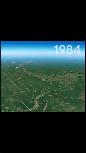deforestation timelapse #forest #141 #protectnature #fyp #wildlife