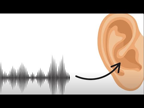 The Science Behind Earworms: How Music Sneaks Into Your Brain