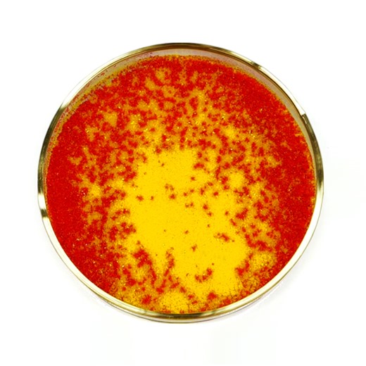 2.7M views · 54K reactions | Color changing mercury | NileRed | Facebook