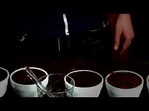 Cupping Teqnique