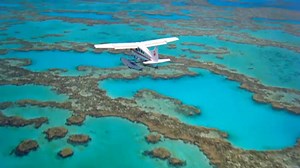 495K views · 370 reactions | Explore the magic for yourself! | Visit Queensland, Australia | Facebook