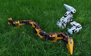 仿生蛇 Arduino Nano