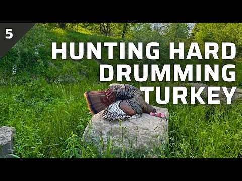 Old Gobbler Public Land Turkey Hunt | Hard Drumming Eastern Longbeard Comes Out of Nowhere