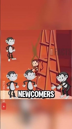 The 5 Monkeys and 1 Banana Experiment