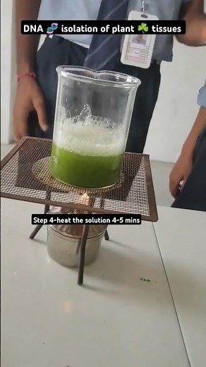 || DNA 🧬 isolation class 12 practical || #anatomy #biology #experiment #anatomy