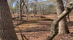 5 top videos by DownhillDaniel20