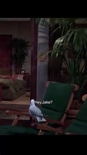 Two and a Half Men: Charlie Sheen's Best Moments