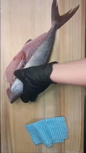 かんぱちのさばき方です！カンパチは身が締まっていて年中美味しいお魚です！寒い時期は脂がのります！他の時期は身が締まってぷりぷり感と旨みが特徴です！澄んだ感じもありとても美味しいお魚です！