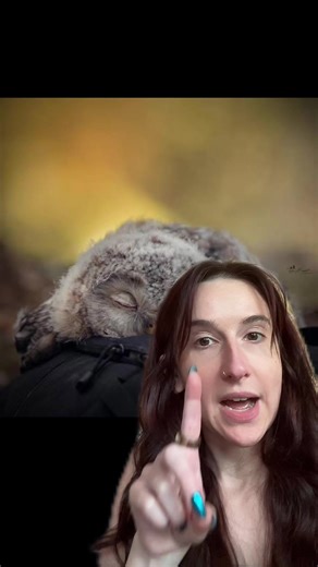 Adorable Baby Owls: The Quirky Sleep Habits of These Birds