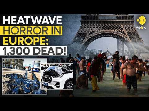 DEADLY Europe Heatwave LIVE: From Melting Roads to Rising Deaths, WHO Issues Fresh Warning | WION
