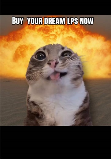 Po co tracić czas ?😇😎 #ww3 #littlestpetshopcollection #littlestpetshop #lps #dlaciebie