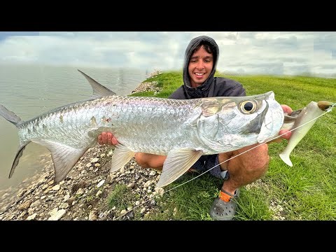 I Found a Pond Infested With Monster Fish!.