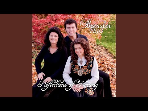 A Bird Without Wings