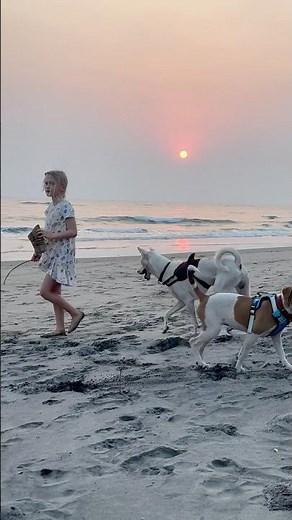 Sonya and her dog gang #adoptionrocks #cutedogs #adoptstrays #sonyaandanimals