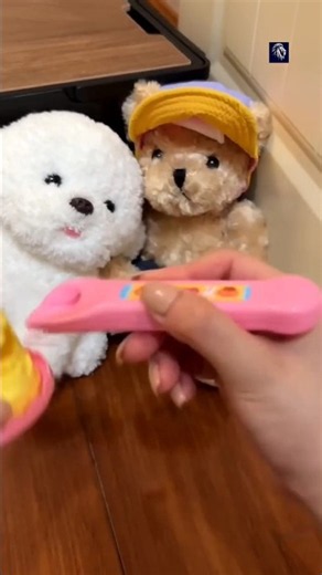 The Cute Dog Refused Food… Here’s Why 🐶🥺 #shorts