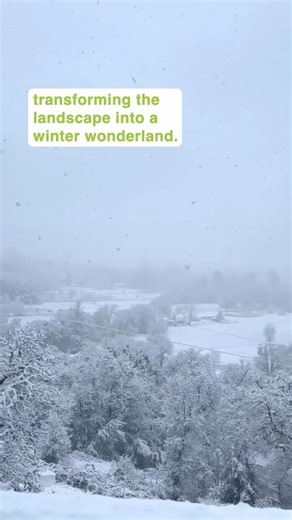 ❄️ Snow fell in parts of Mendocino County this week. Here’s what residents saw Wednesday morning. | The Mendocino Voice